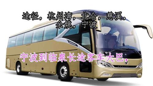 宁化到泉上汽车多少点 宁化到泉上汽车多少点