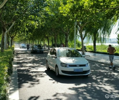 徐州团建汽车租赁多少钱