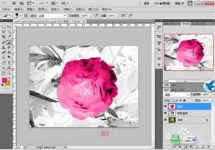华为电脑绘画软件ps怎么下载(华为电脑绘画软件Photoshop下载指南) 华为电脑绘画软件ps怎么下载(华为电脑绘画软件Photoshop下载指南)