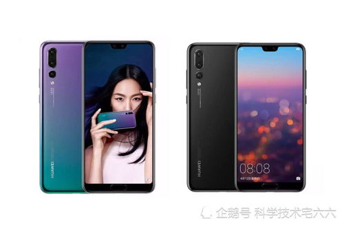 华为手机怎么拍摄鱼缸