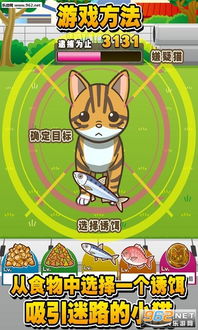 游戏找猫小游戏攻略 VS 游戏干员培养攻略 游戏找猫小游戏攻略 VS 游戏干员培养攻略
