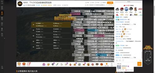 弹幕游戏攻略 VS 汉字游戏自助游戏攻略