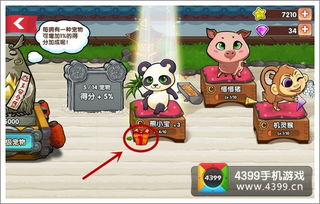 猫咪游戏宠物游戏攻略 VS 747游戏攻略